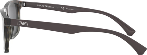   Emporio Armani EA4137 5789Z3 Matte Striped Mud