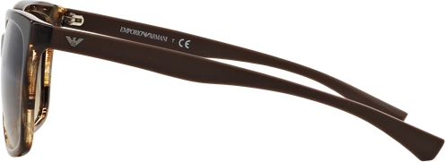 �������������� ���� Emporio Armani EA4049 538613 Striped Brown