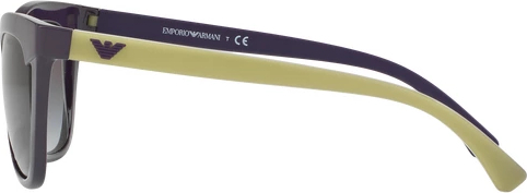 Солнцезащитные очки Emporio Armani EA4088 556011 Violet
