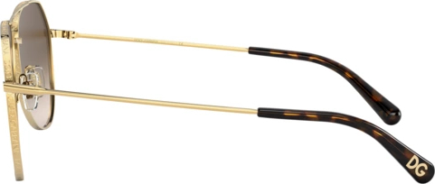 �������������� ���� Dolce & Gabbana DG2244 02/13 Gold