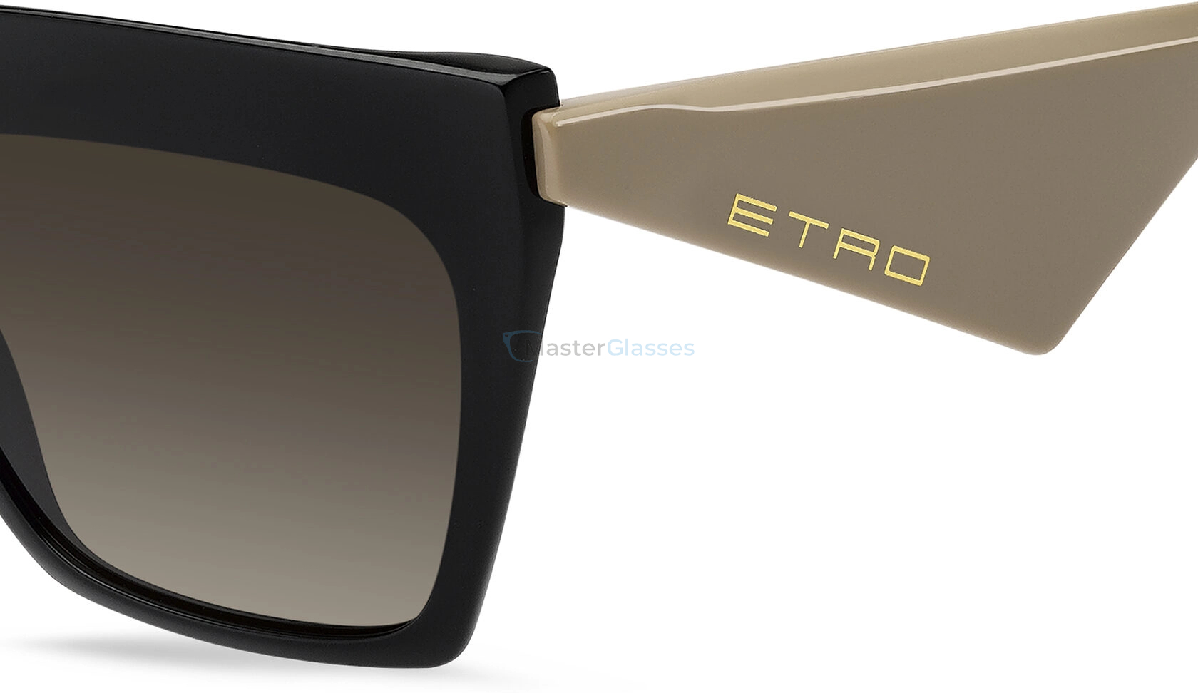 Солнцезащитные очки ETRO 0001/S 0WM Black Beige