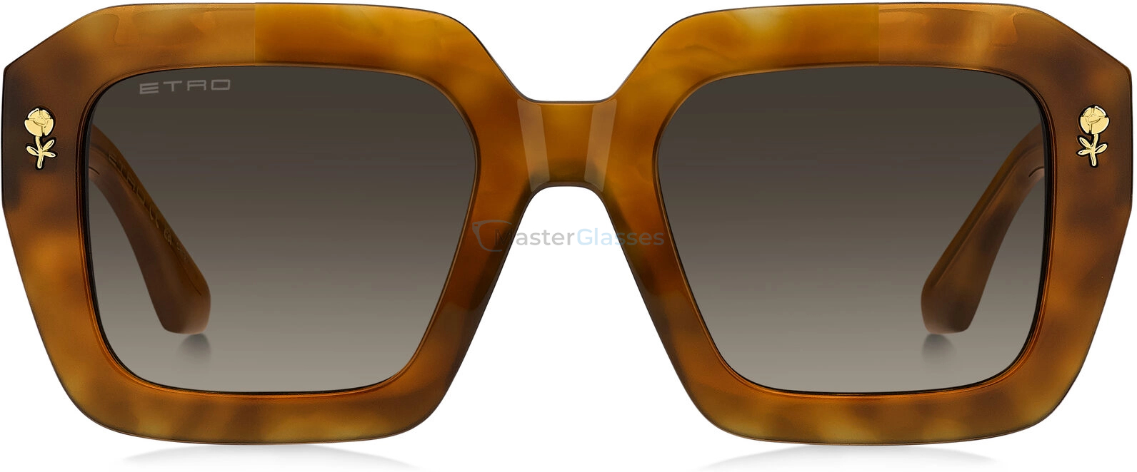 Солнцезащитные очки ETRO 0114/S YAP Havana Teal
