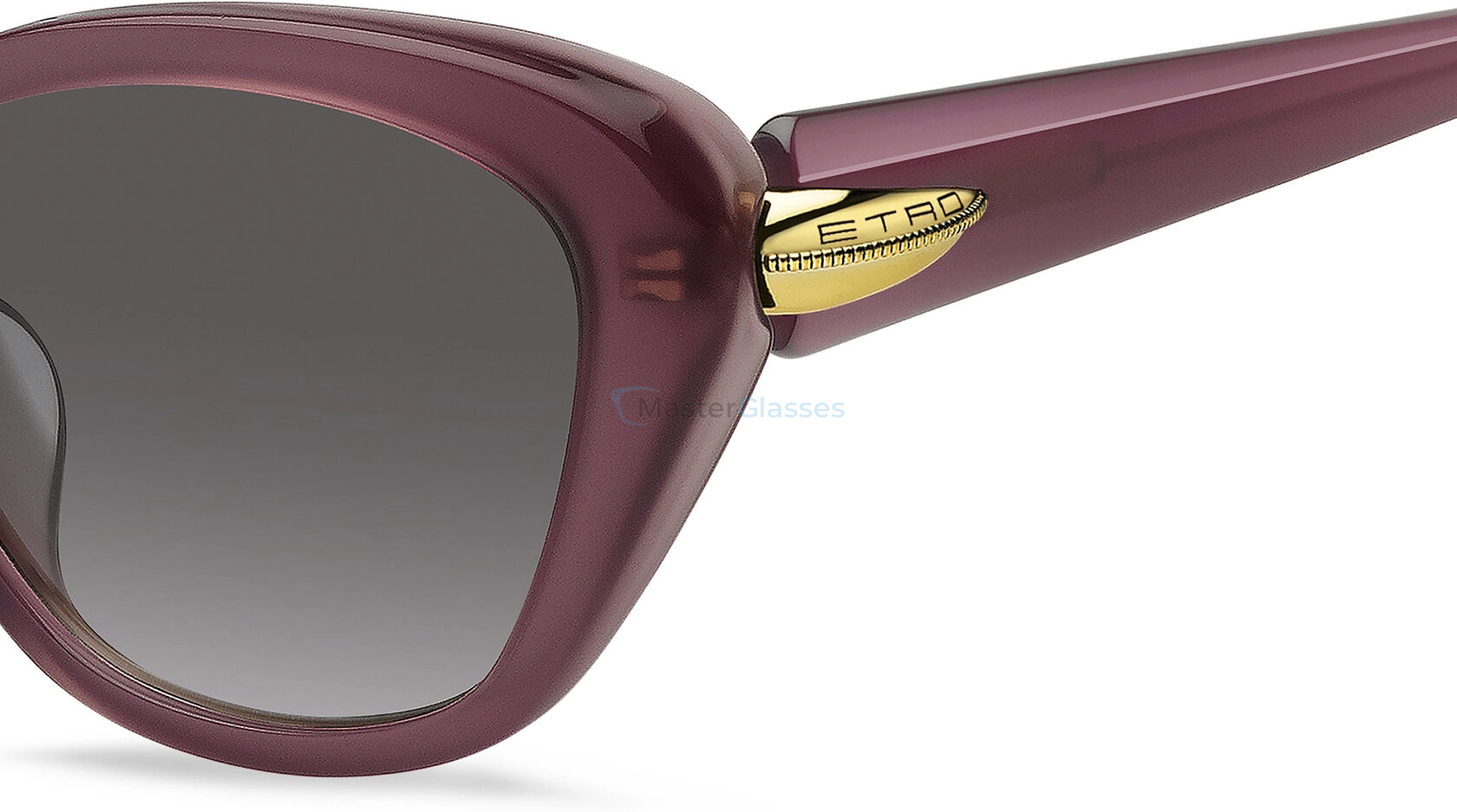 Солнцезащитные очки ETRO 0133/F/S B3V Violet