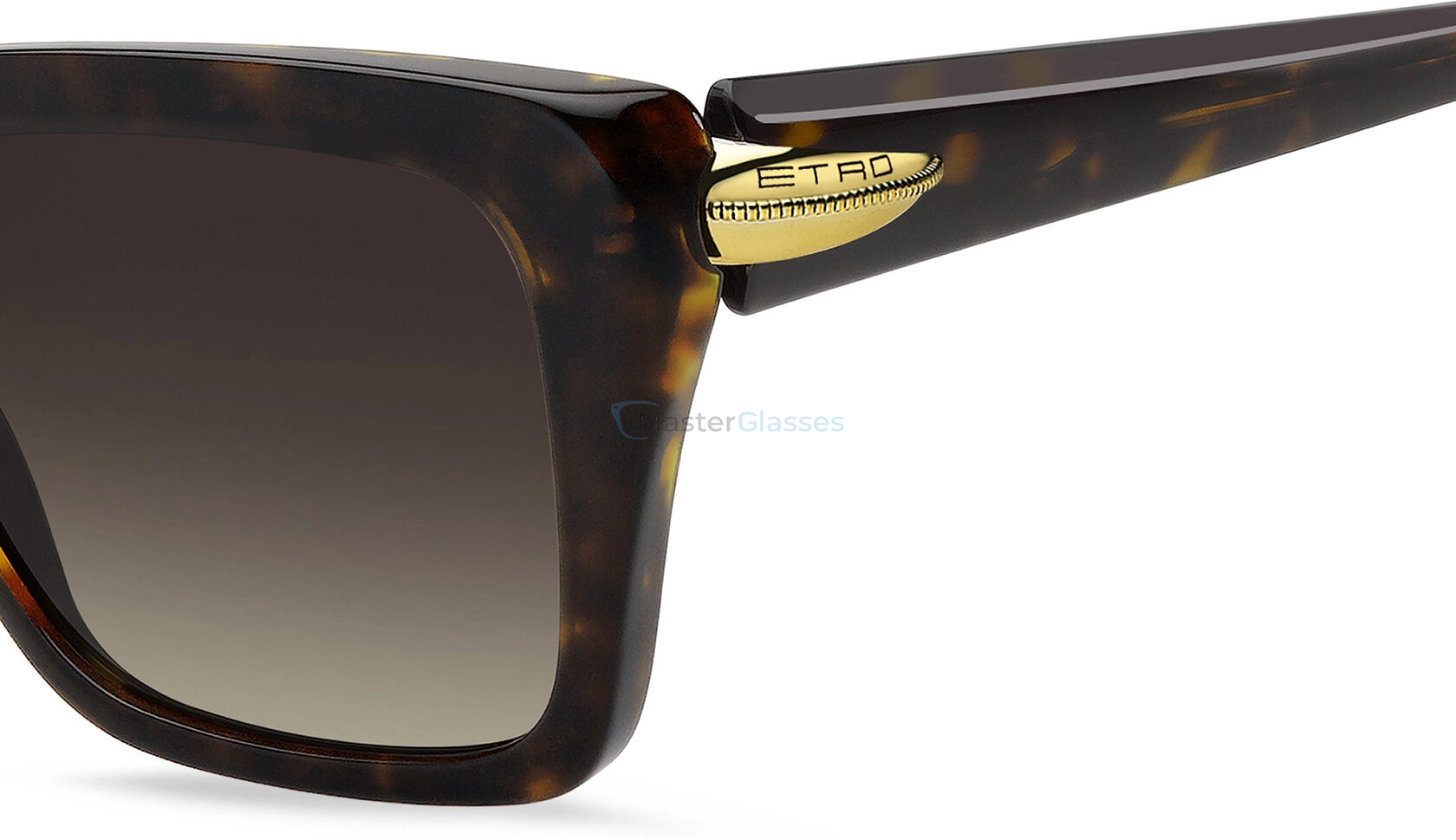 Солнцезащитные очки ETRO 0151/S 086 Havana