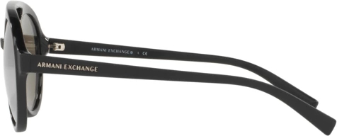 Солнцезащитные очки Armani Exchange AX4060S 82116G Matte Black/top Shiny