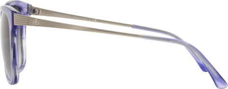 Солнцезащитные очки Giorgio Armani AR8074 548711 Striped Violet