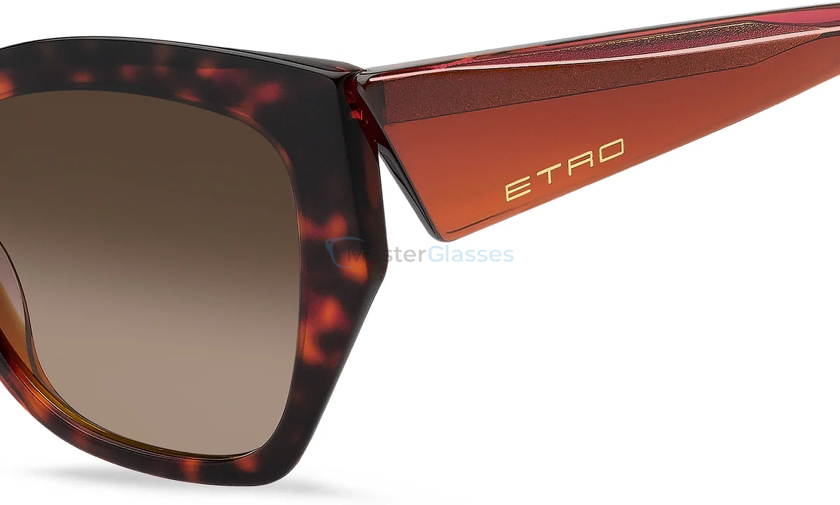 �������������� ���� ETRO 0143/S L9G Havana Orange