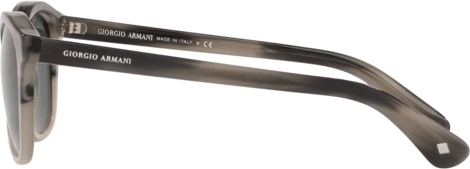 �������������� ���� Giorgio Armani AR8112 565671 Grey B Color