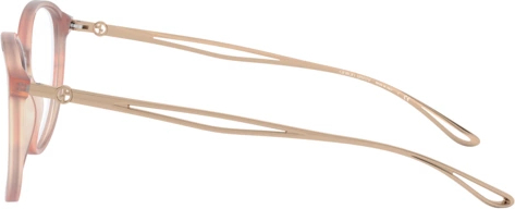 Оправа Giorgio Armani AR7179 5778 Striped Pink