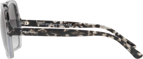 Солнцезащитные очки Giorgio Armani AR8099 558511 Grey/grey Havana