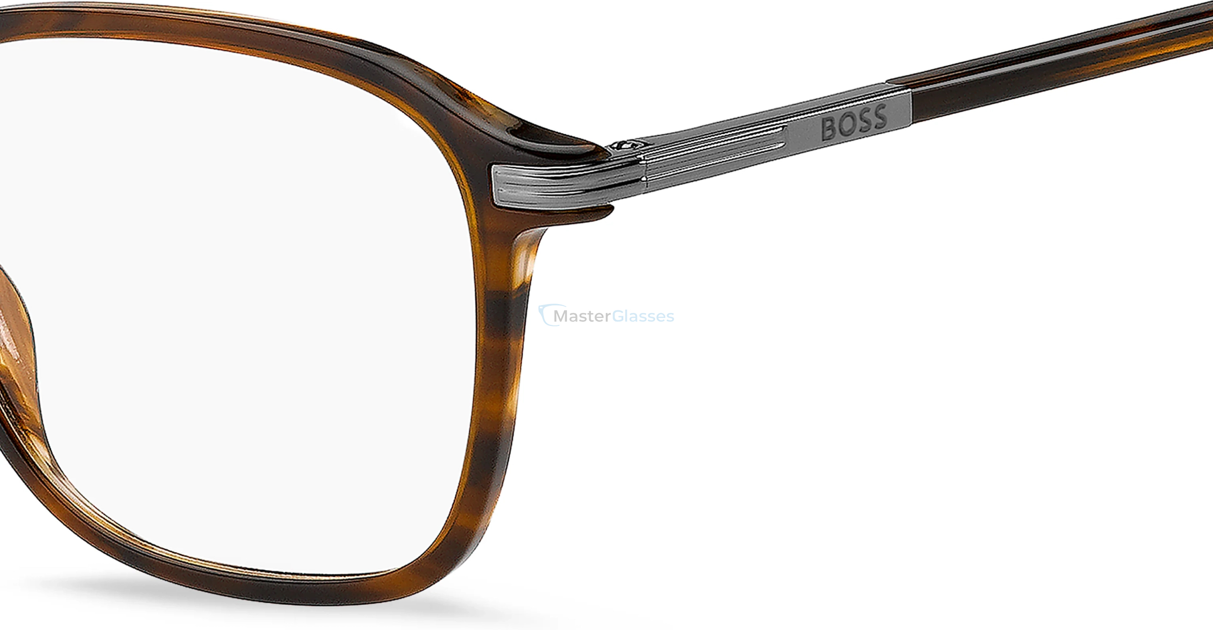 ������ HUGO BOSS 2010 EX4 Brown Horn