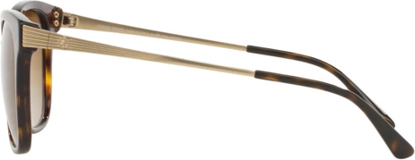 Солнцезащитные очки Giorgio Armani AR8074 5026T5 Dark Havana