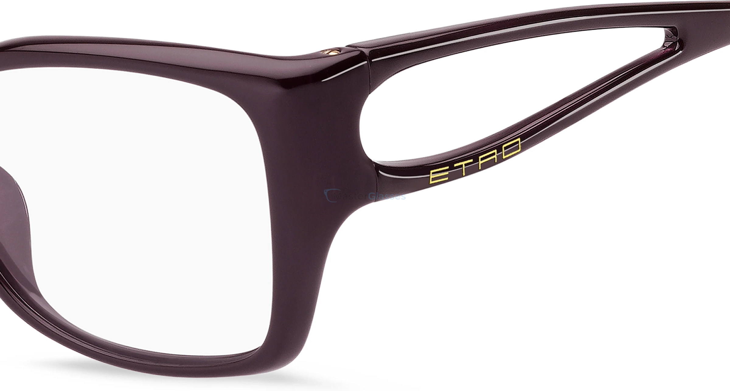 ������ ETRO 0156/G B3V Violet