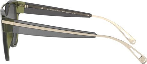 Солнцезащитные очки Giorgio Armani AR8124 57816G Green