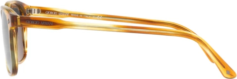 �������������� ���� Giorgio Armani AR8103 5579R5 Striped Straw