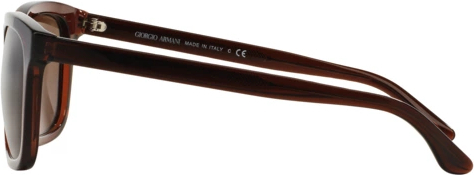 Солнцезащитные очки Giorgio Armani AR8066 543873 Transparent Brown