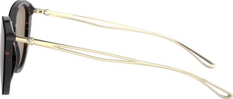 Солнцезащитные очки Giorgio Armani AR8123 502673 Havana