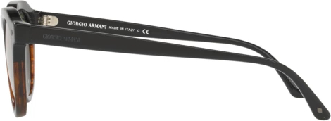 Солнцезащитные очки Giorgio Armani AR8093 55964K Bicolor Black/striped Brown
