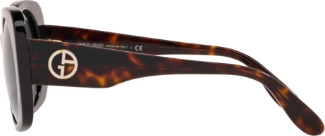 Солнцезащитные очки Giorgio Armani AR8110 501787 Black