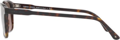 �������������� ���� Giorgio Armani AR8103 50264R Havana