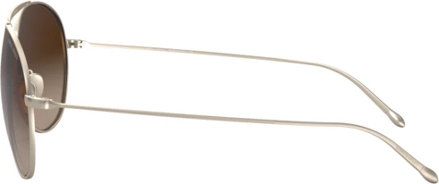 Солнцезащитные очки Giorgio Armani AR6093 300213 Matte Pale Gold