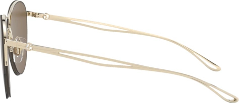 �������������� ���� Giorgio Armani AR6101 301373 Pale Gold