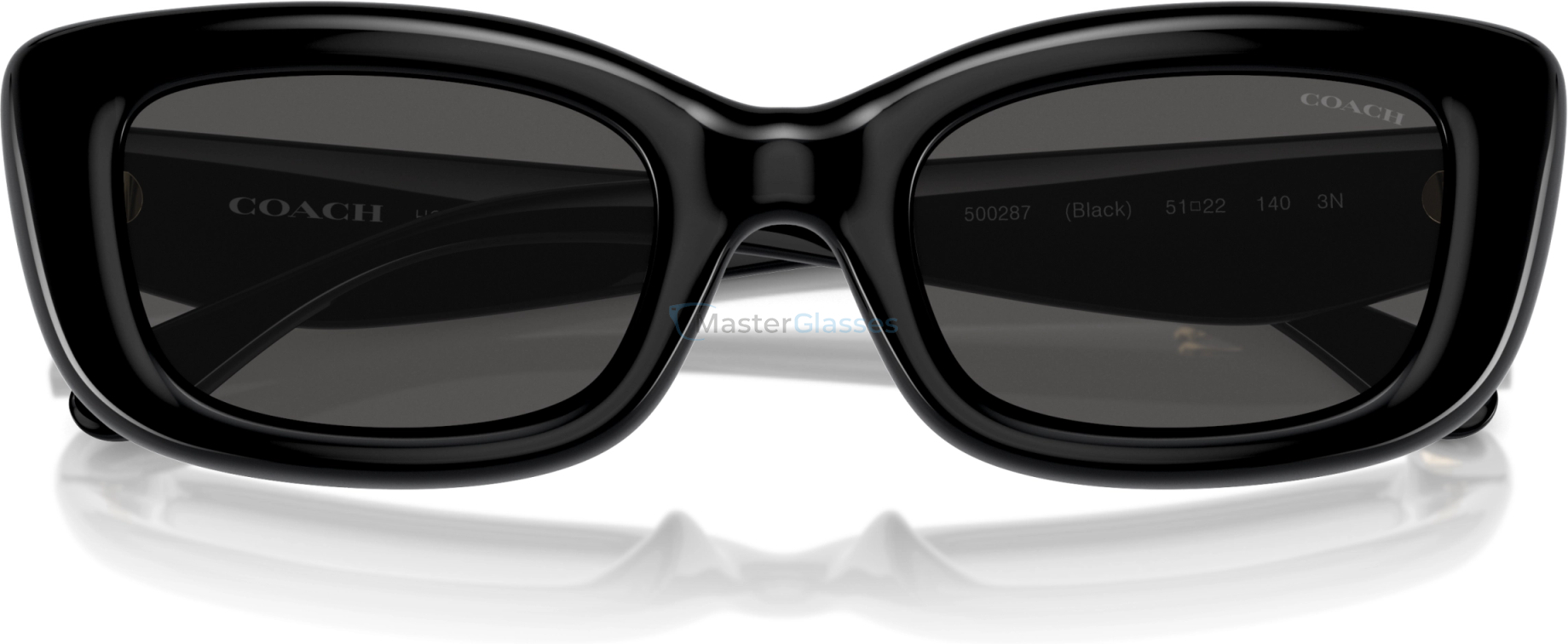 Солнцезащитные очки Coach CR610 HC8390U 500287 Black