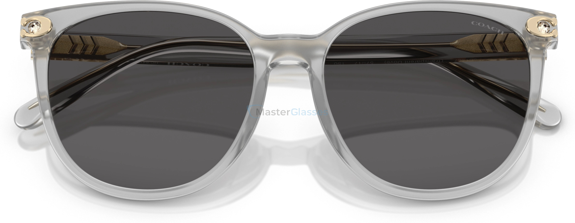 Солнцезащитные очки Coach CW428 HC8414BD 561487 Transparent