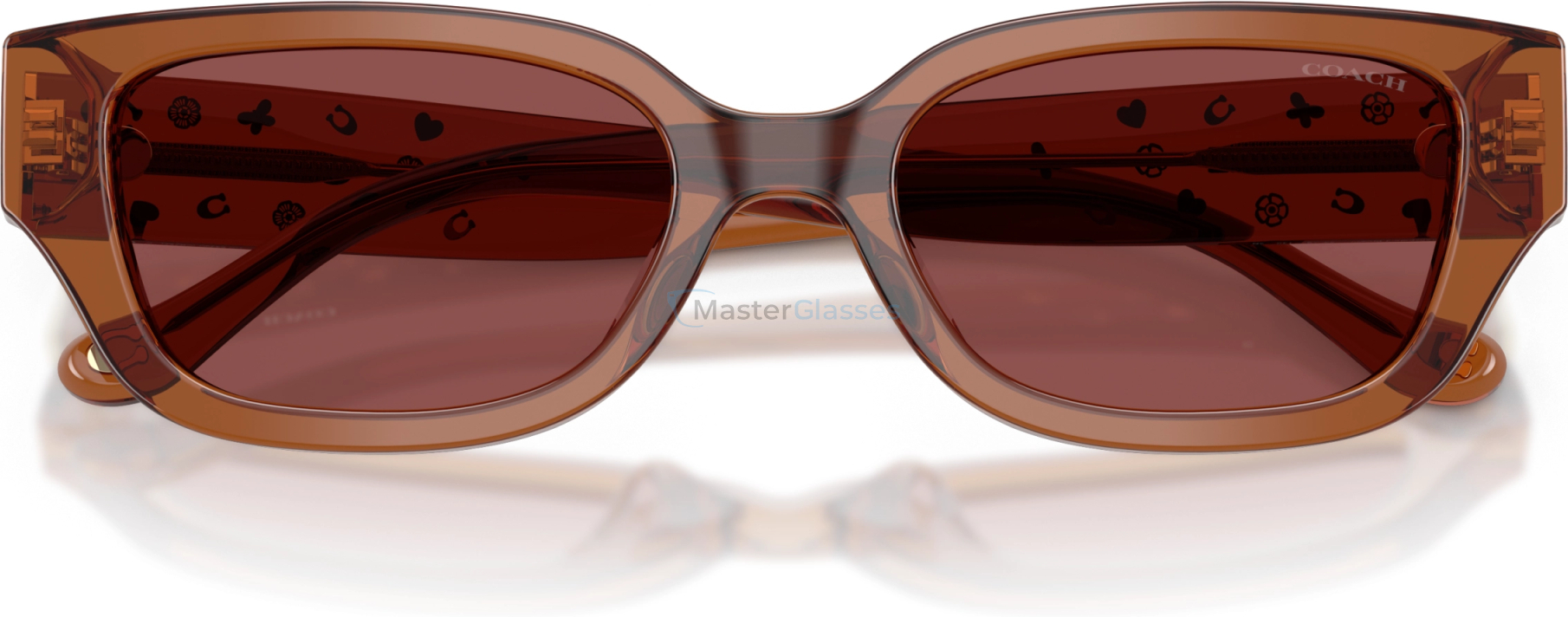 Солнцезащитные очки Coach CBZ52 HC8439U 581175 Brown