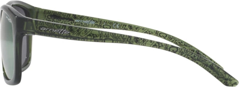 Солнцезащитные очки Arnette Complementary AN4233 2476N0 Transparent Green