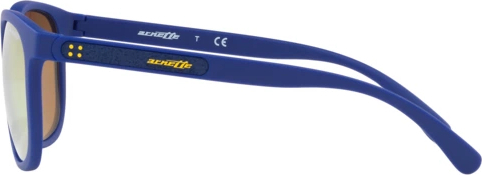 Солнцезащитные очки Arnette Tigard AN4238 2494N0 Matte Blue