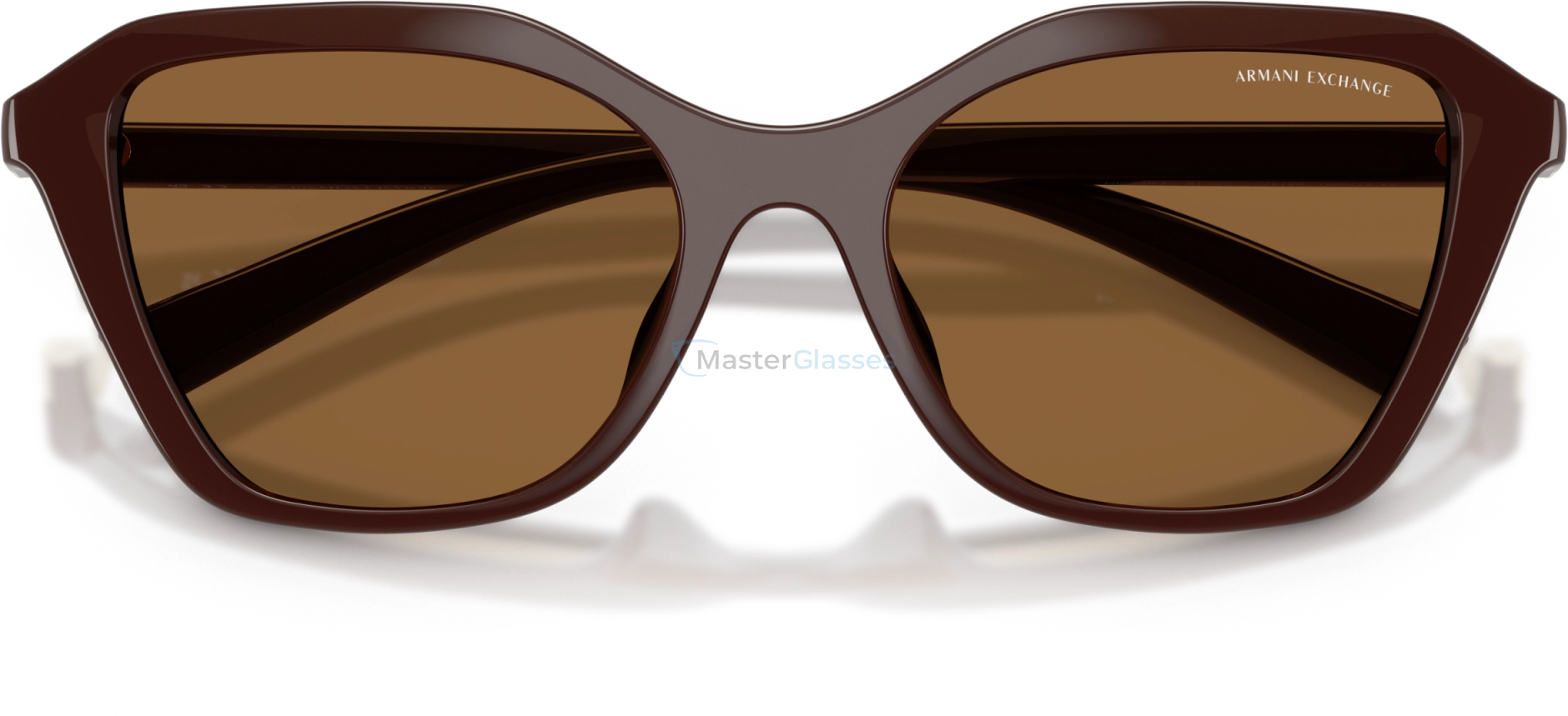 Солнцезащитные очки Armani Exchange AX4173SU 841473 Brown