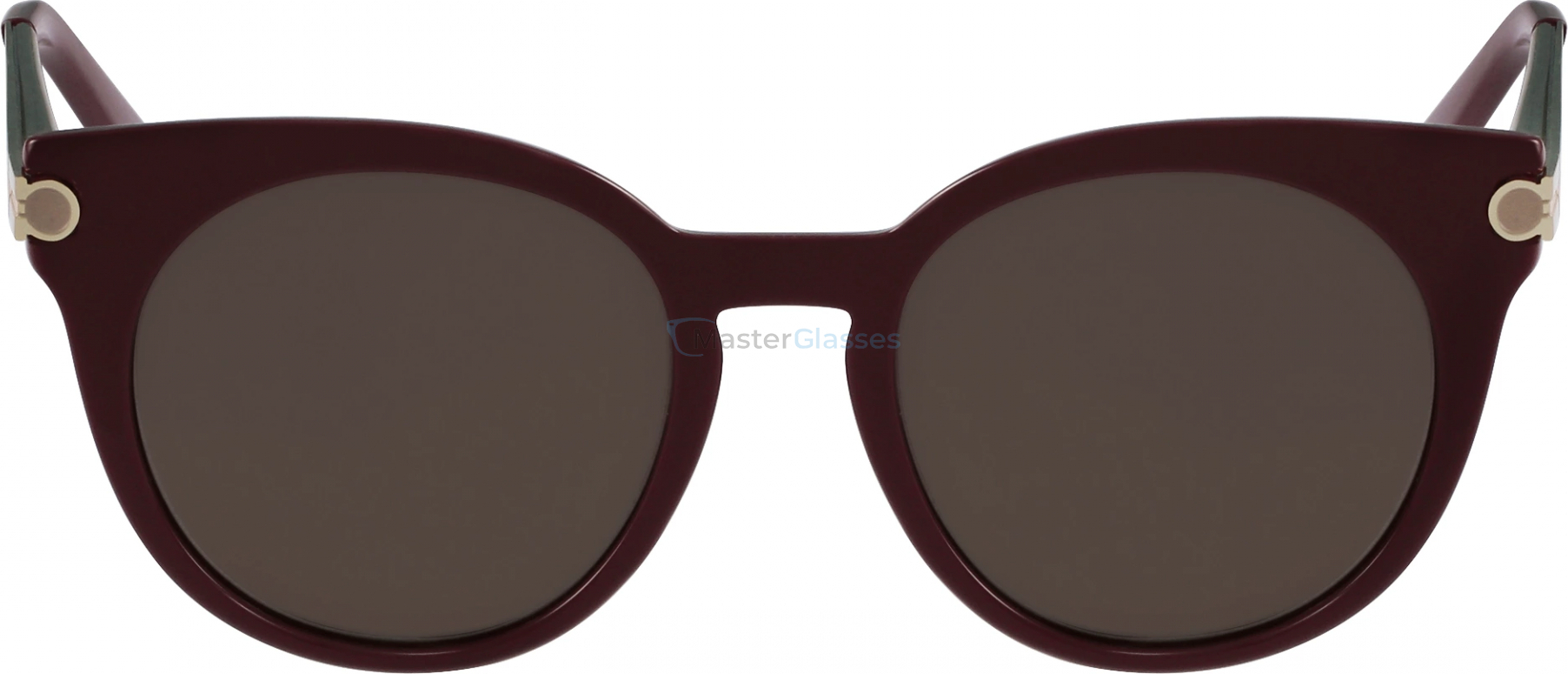 Солнцезащитные очки Salvatore Ferragamo 831s-606