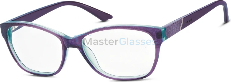 Оправа BRENDEL Eschenbach 903013-55 COSMO