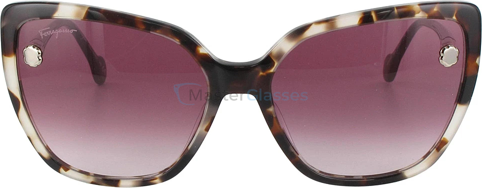 Солнцезащитные очки Salvatore Ferragamo 914s-053