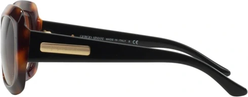 Солнцезащитные очки Giorgio Armani AR8002 502213 Havana