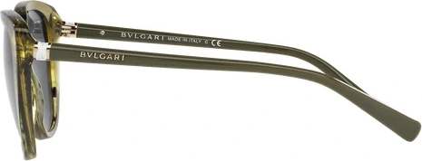 �������������� ���� Bvlgari BV8177 539887 Variegated Green