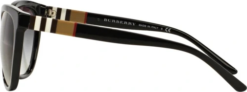 �������������� ���� Burberry BE4199 30018G Black