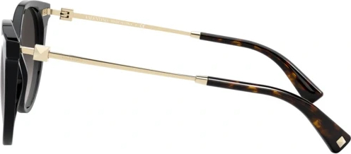 �������������� ���� Valentino VA4069 50018G Black