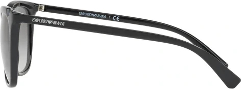 Солнцезащитные очки Emporio Armani EA4094 501711 Black