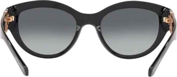 �������������� ���� Bvlgari BV8221B 501/T3 Polarized