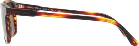 Солнцезащитные очки Giorgio Armani AR8103 5580R5 Striped Red
