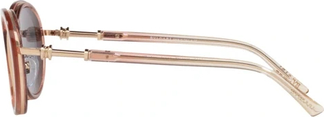 Солнцезащитные очки Bvlgari BV6117 20144Z Rose Gold/transparent Pink