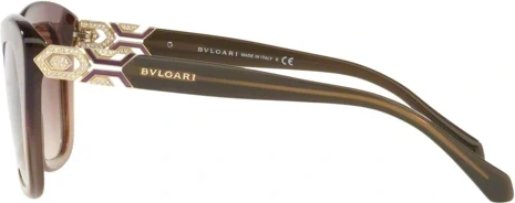 �������������� ���� Bvlgari BV8213B 546313 Violet Gradient Brown