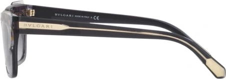 �������������� ���� Bvlgari BV8219 54678G Gold On Grey Transparent