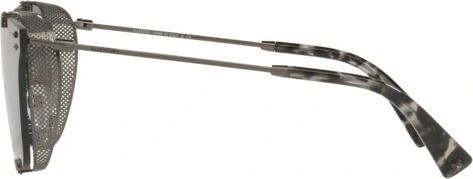 Солнцезащитные очки Valentino VA2016 300587 Ruthenium