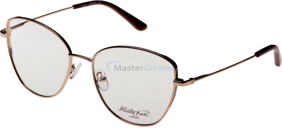 ������ Nicoleta Buchi 571 02 56-17-145