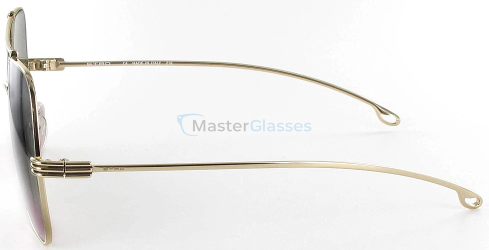 Солнцезащитные очки Etro 119s-722