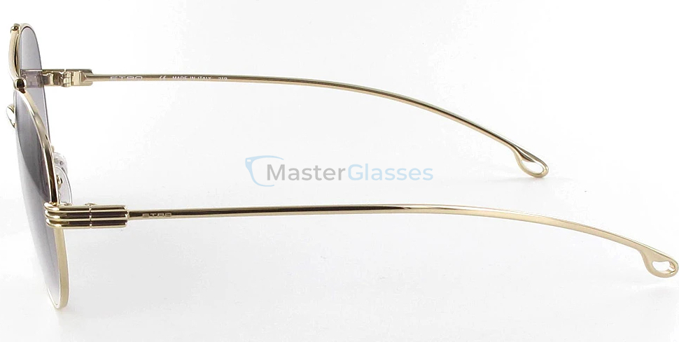 Солнцезащитные очки Etro 118s-731