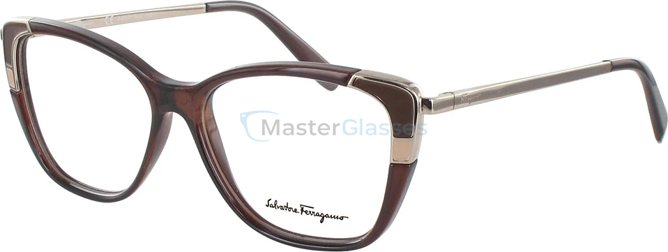 Оправа Salvatore Ferragamo 2811-210